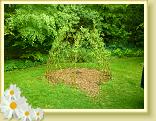 StValery_DCA_14.05.2015 (41)